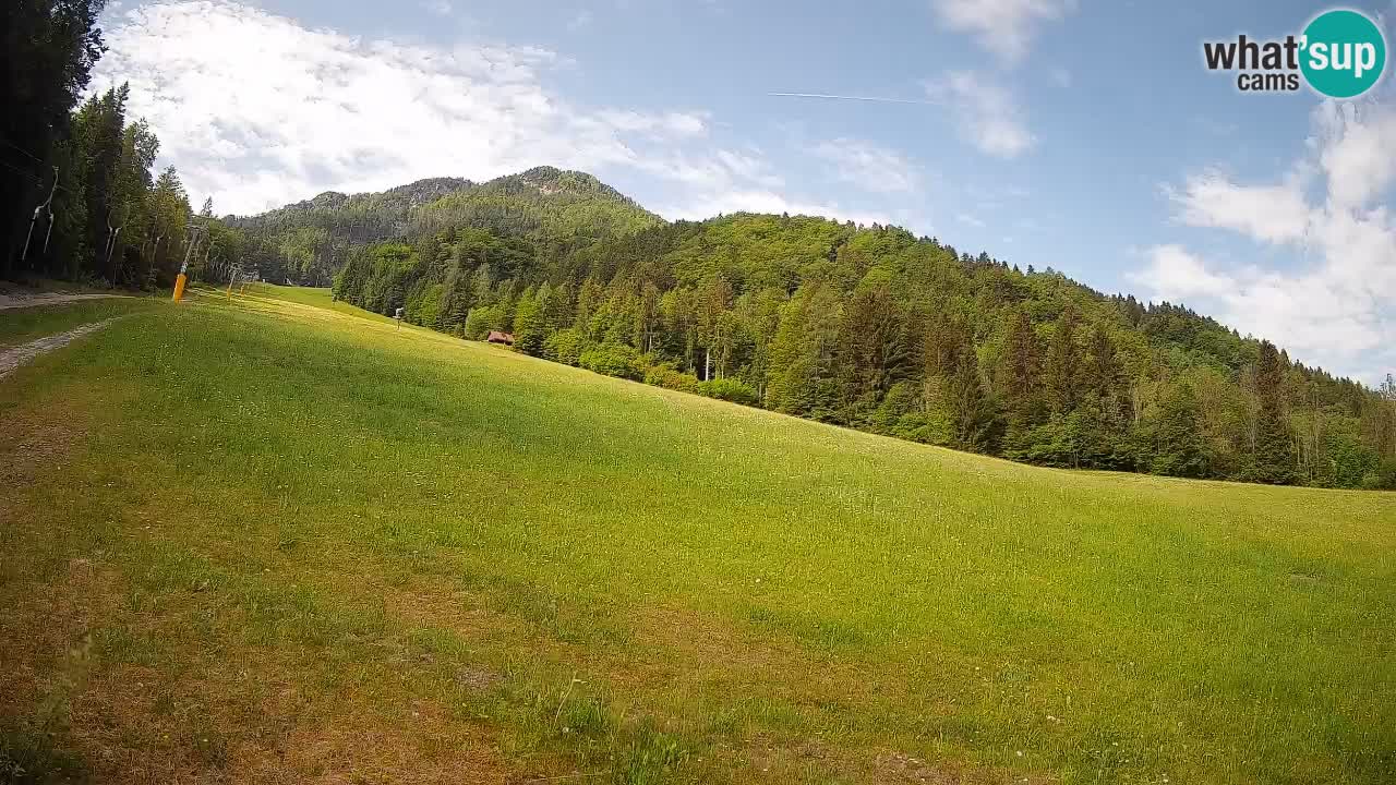 RTC Skigebiet Kranjska Gora | Brsnina