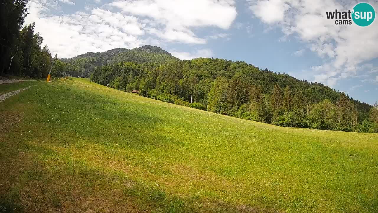 Ski Kranjska Gora | Brsnina