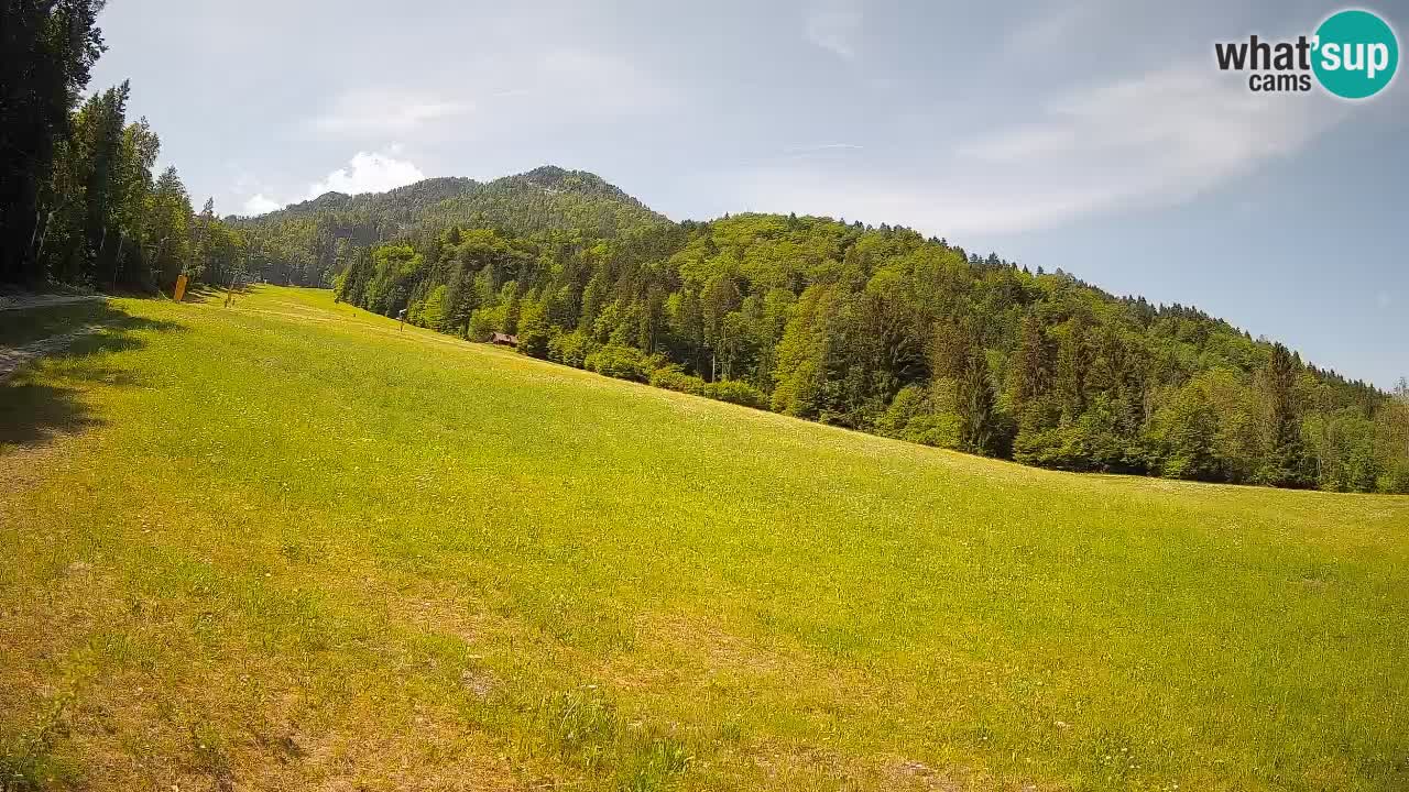 Kranjska Gora SKIJANJE | Brsnina