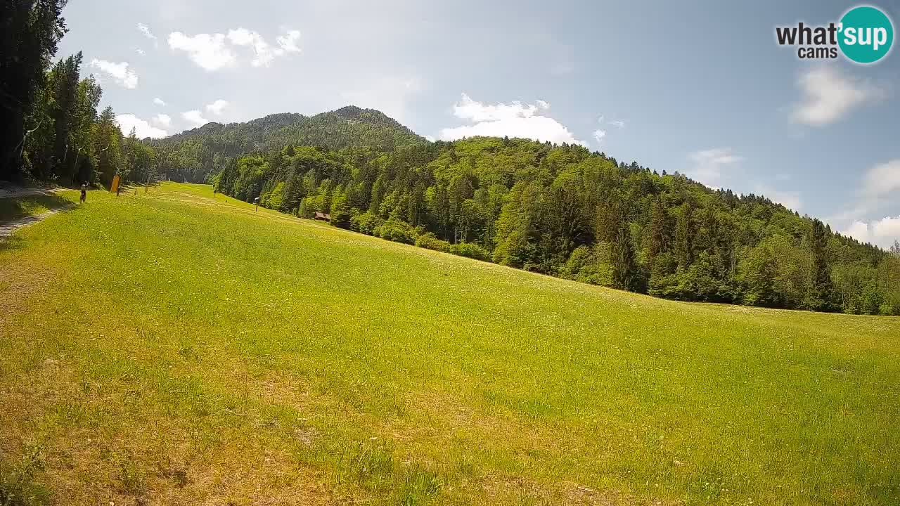 Kranjska Gora Station de ski | Brsnina