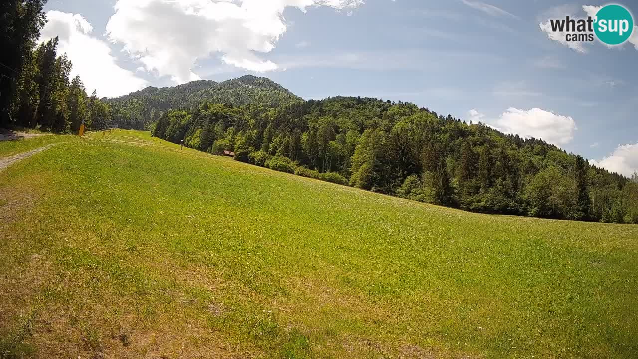 Comprensorio sciistico Kranjska Gora | Brsnina