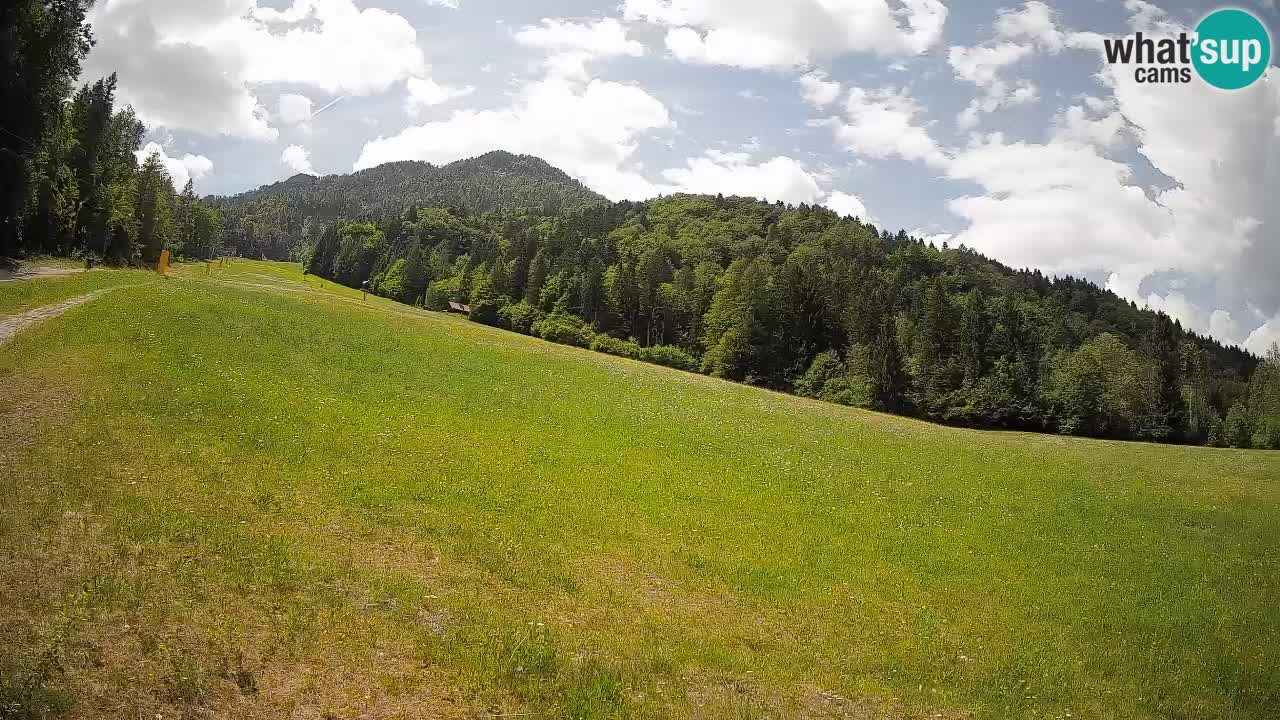 RTC Skigebiet Kranjska Gora | Brsnina
