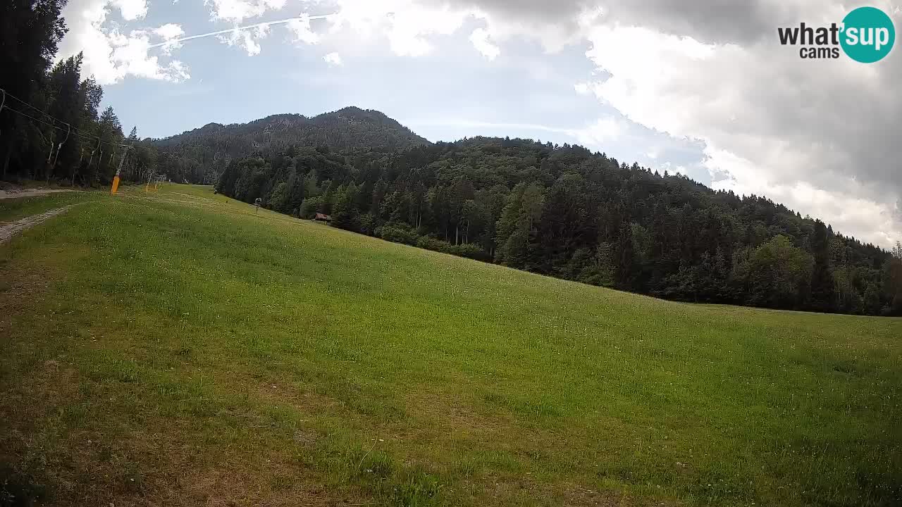 Kranjska Gora Station de ski | Brsnina