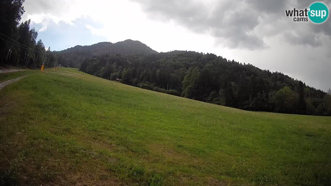 RTC Kranjska Gora | Brsnina