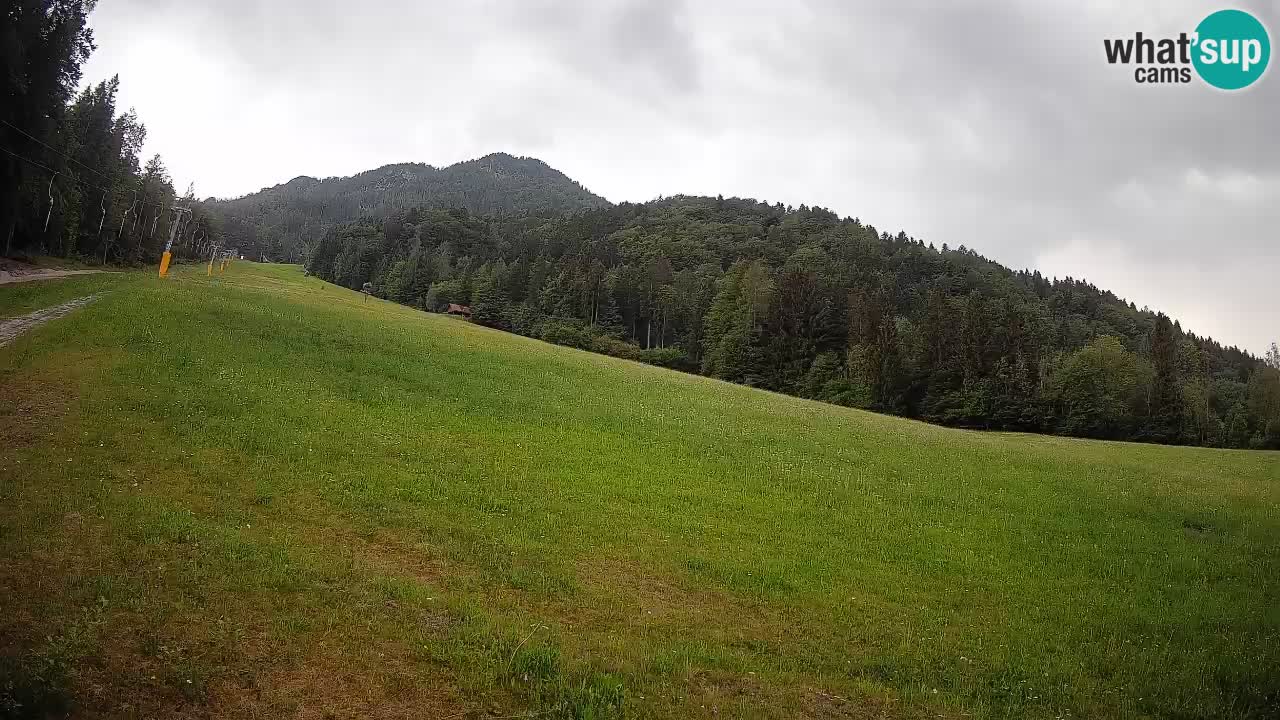 RTC Kranjska Gora | Brsnina
