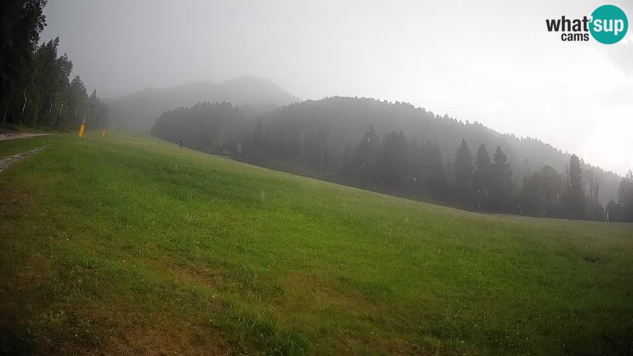 RTC Kranjska Gora | Brsnina