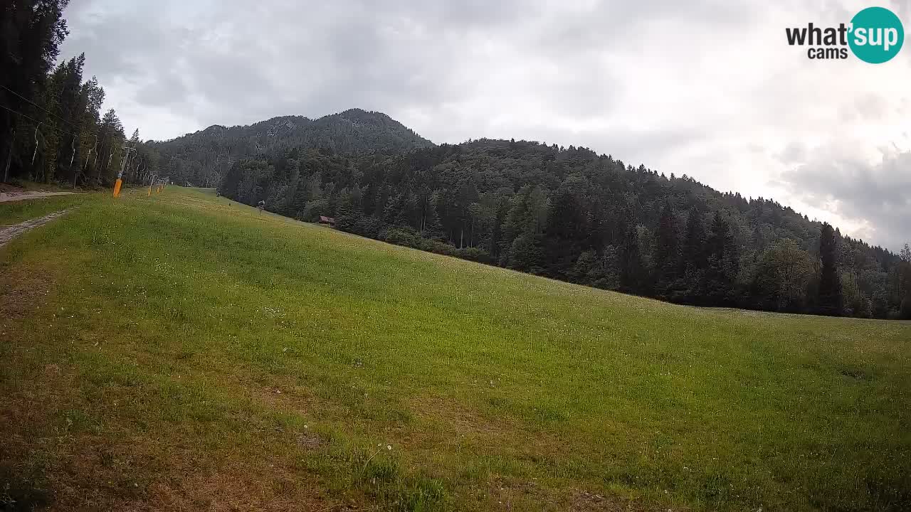 Ski Kranjska Gora | Brsnina