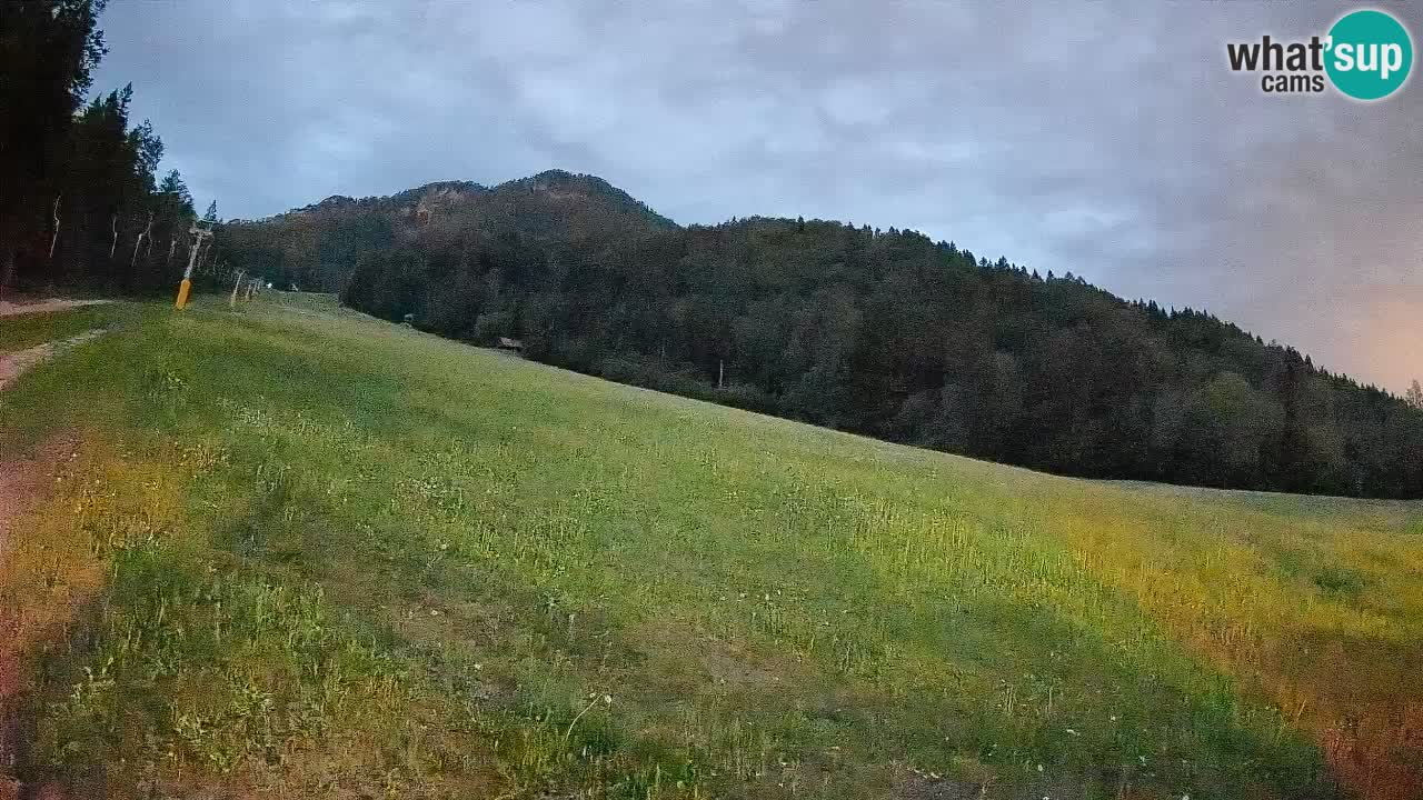 Ski Kranjska Gora | Brsnina