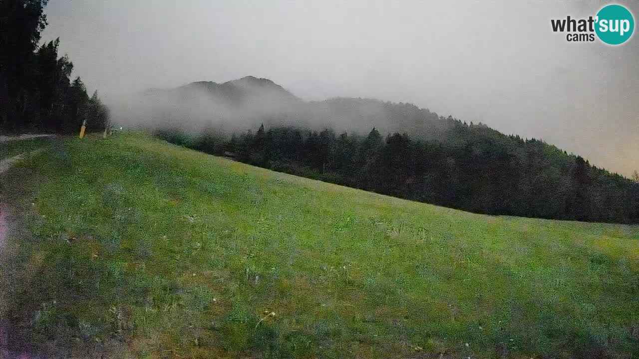 Kranjska Gora Station de ski | Brsnina