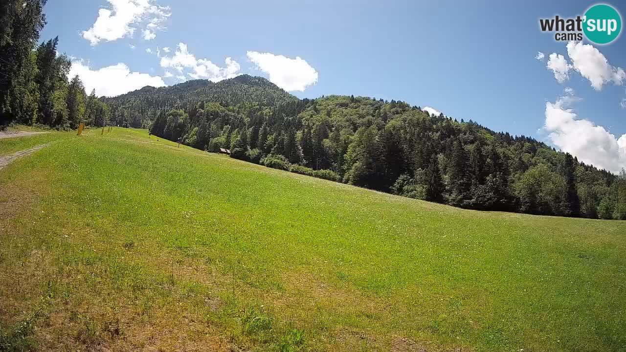 RTC Skigebiet Kranjska Gora | Brsnina