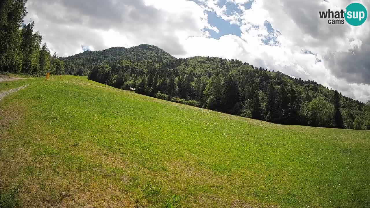 RTC Skigebiet Kranjska Gora | Brsnina