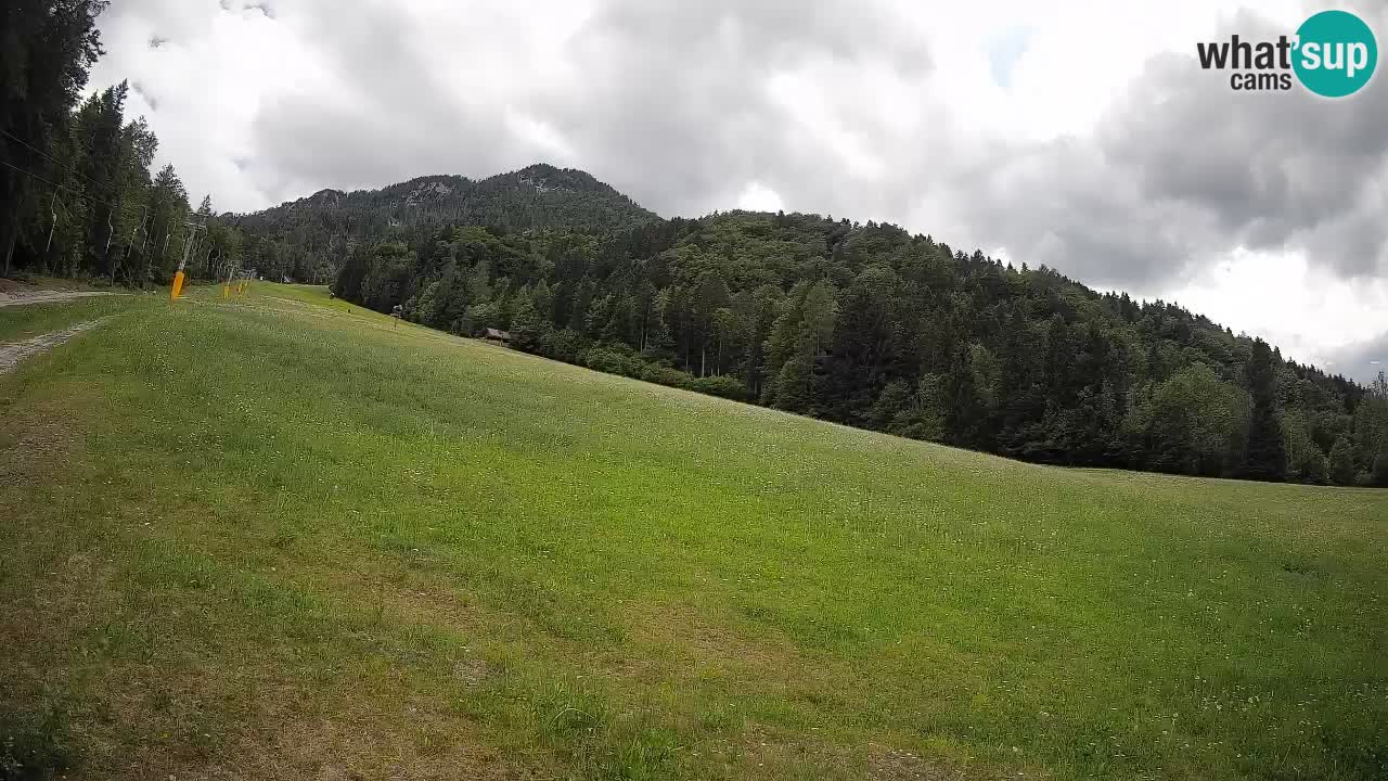 Esquí Kranjska Gora | Brsnina