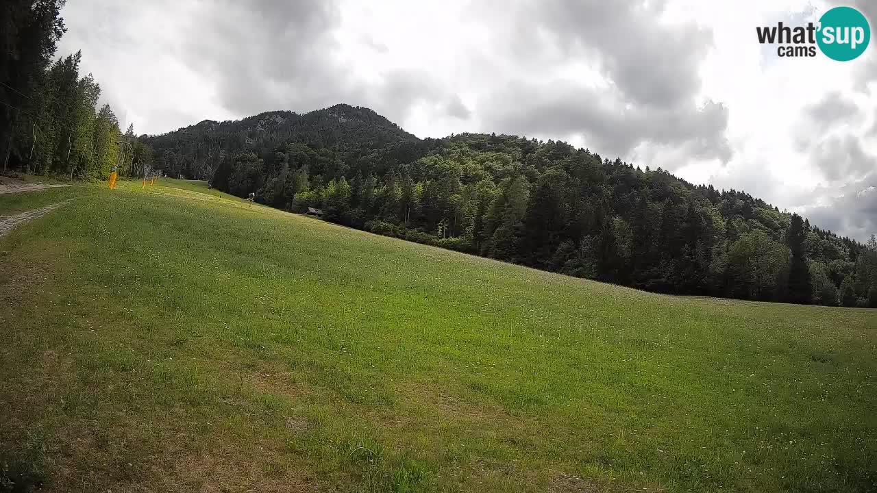 RTC Kranjska Gora | Brsnina