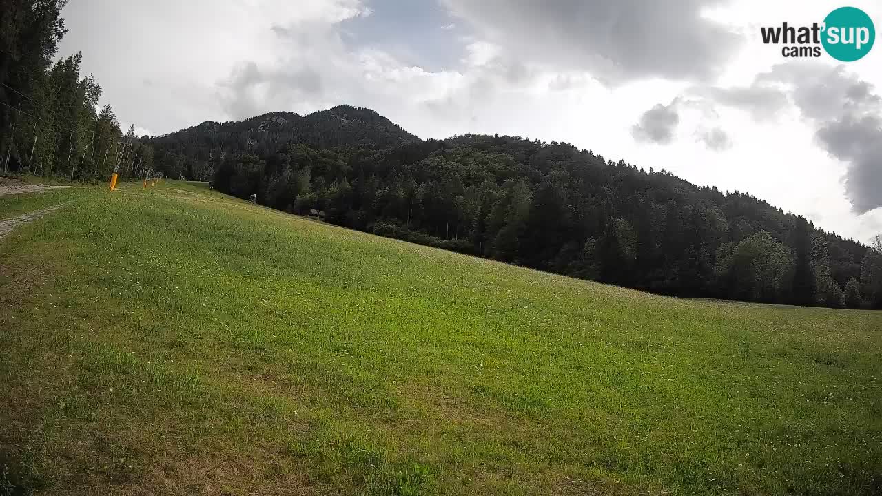 RTC Kranjska Gora | Brsnina
