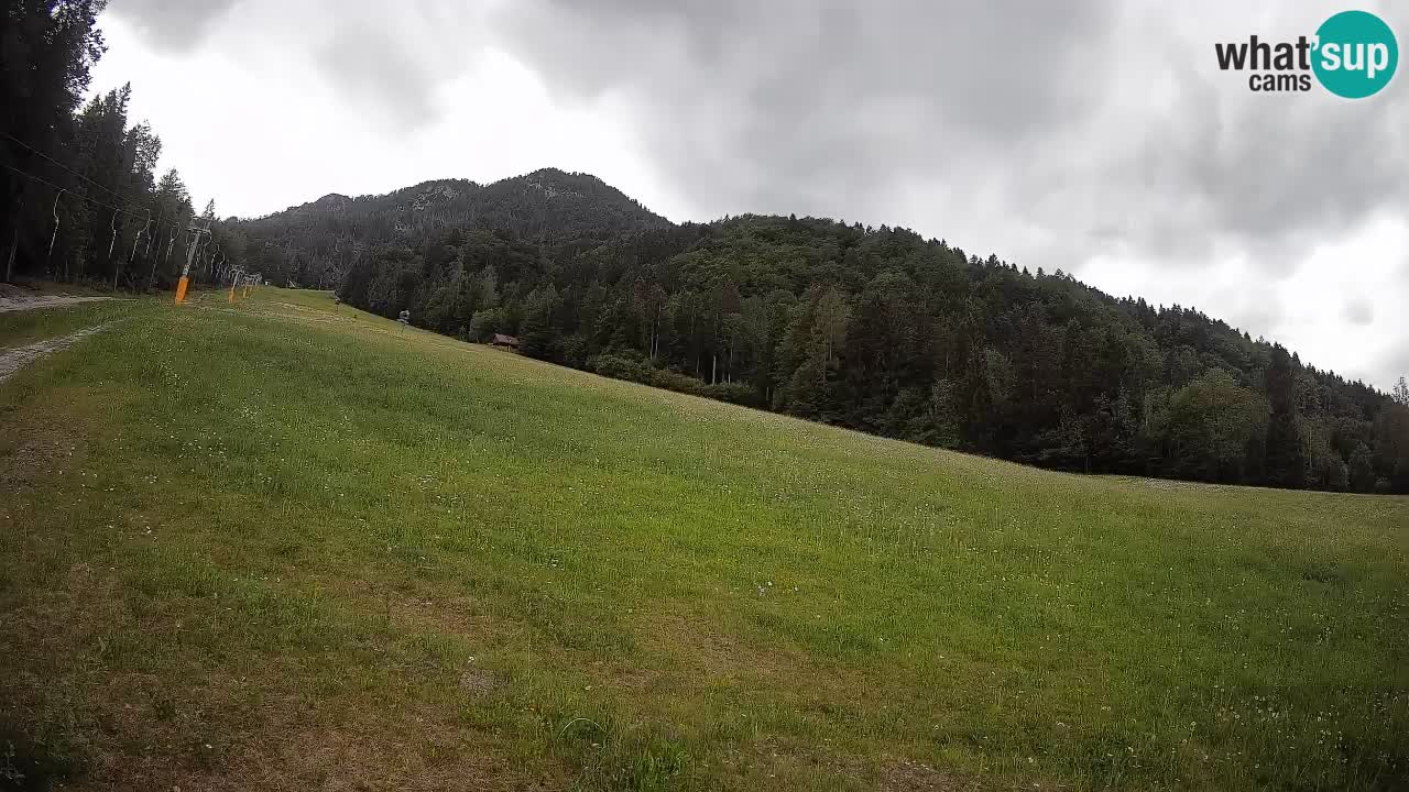 Ski Kranjska Gora | Brsnina