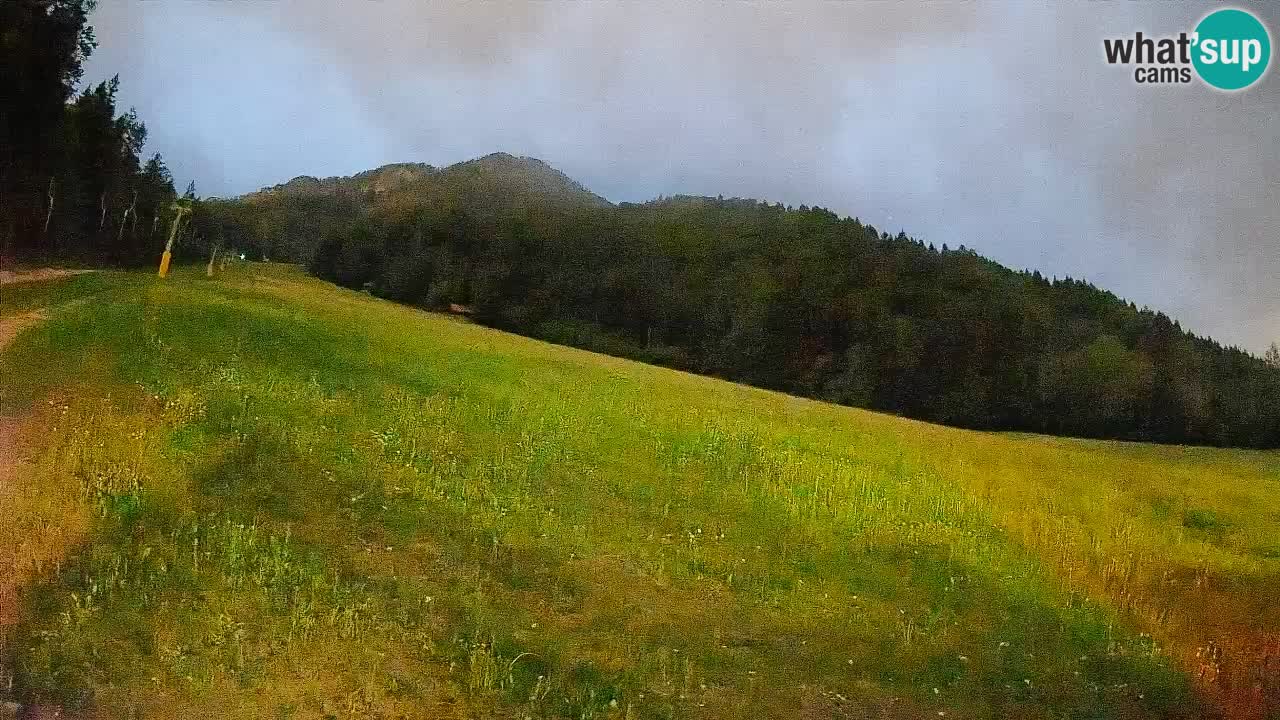 Ski Kranjska Gora | Brsnina