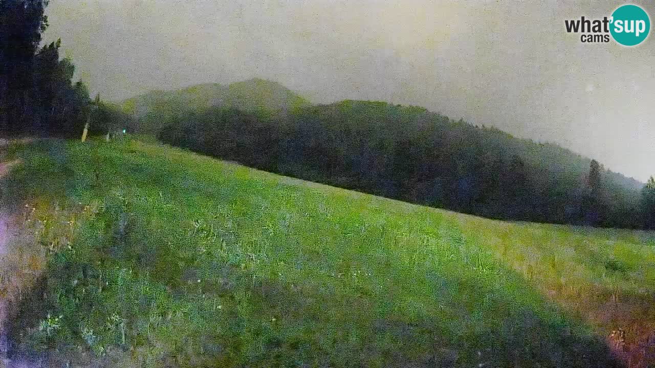 Esquí Kranjska Gora | Brsnina