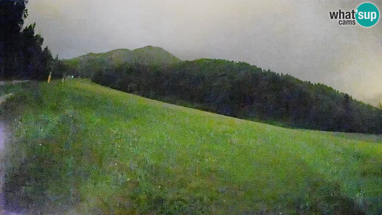 Kranjska Gora SKIJANJE | Brsnina