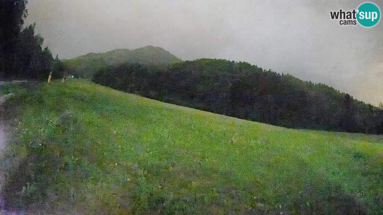 Ski Kranjska Gora | Brsnina
