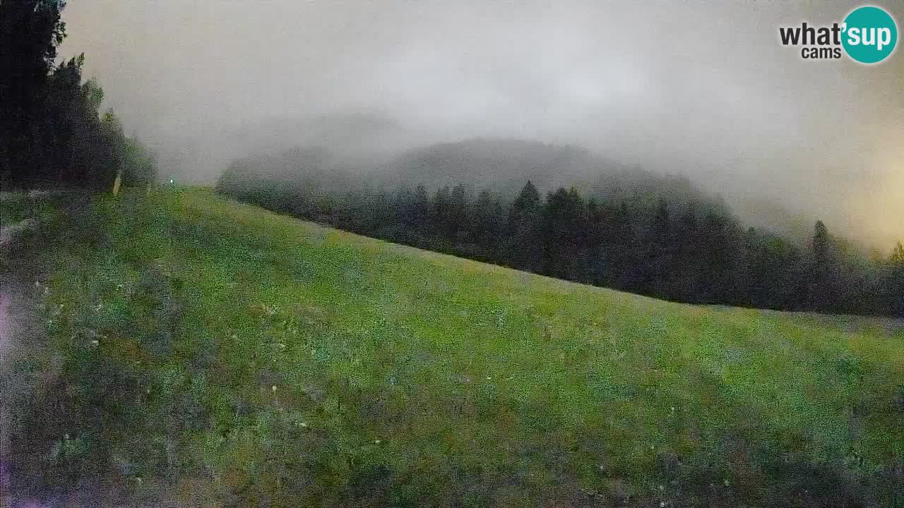 Esquí Kranjska Gora | Brsnina