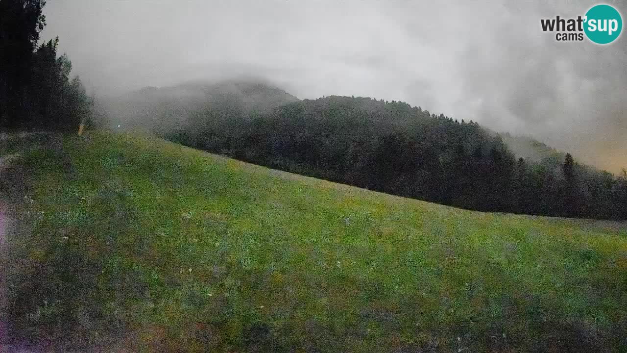 RTC Kranjska Gora | Brsnina