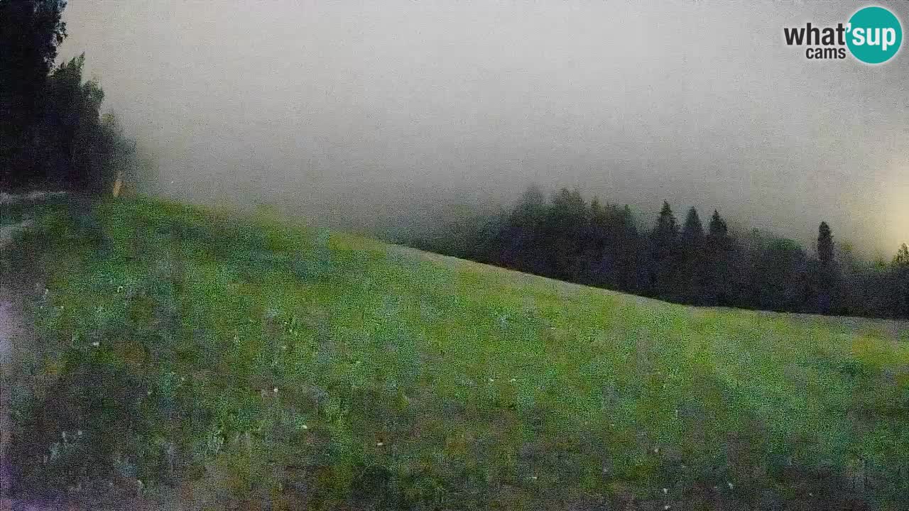 RTC Kranjska Gora | Brsnina