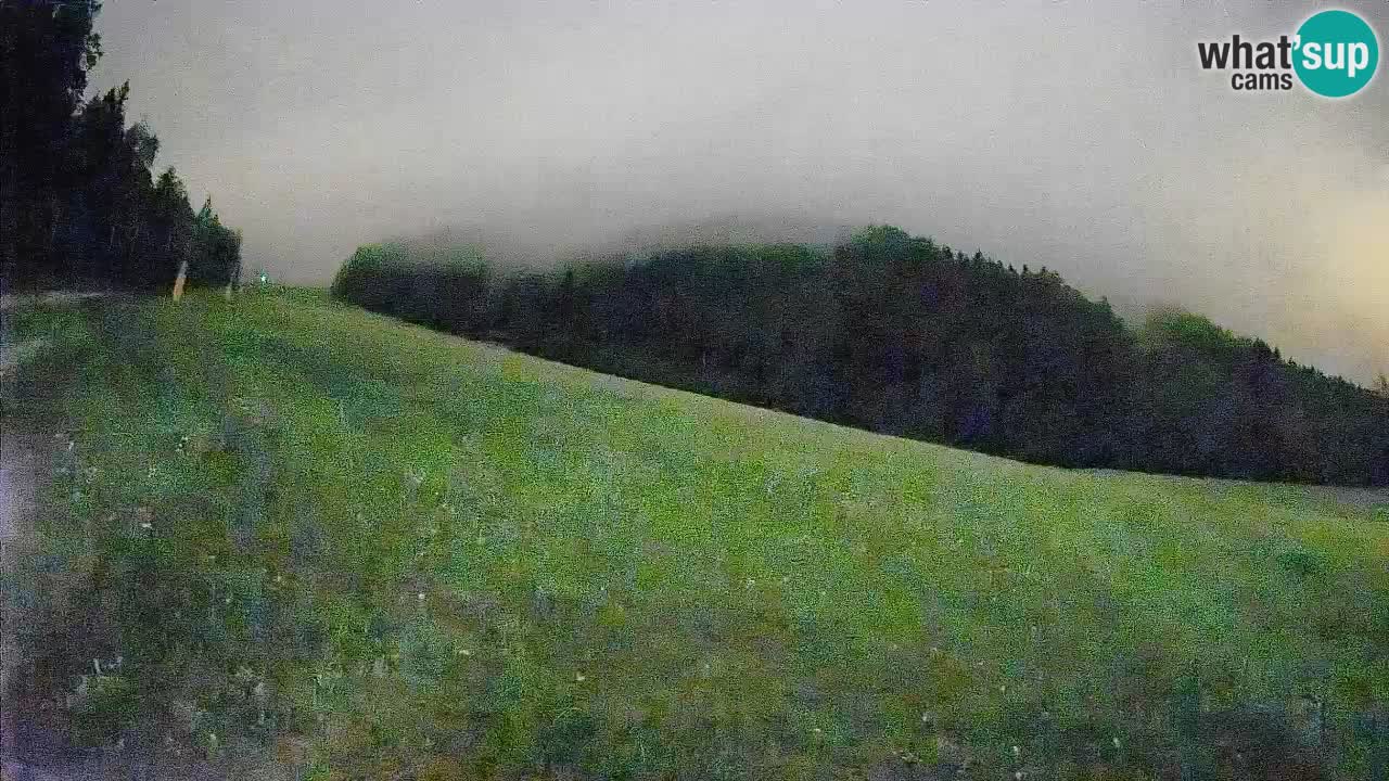 Kranjska Gora SKIJANJE | Brsnina