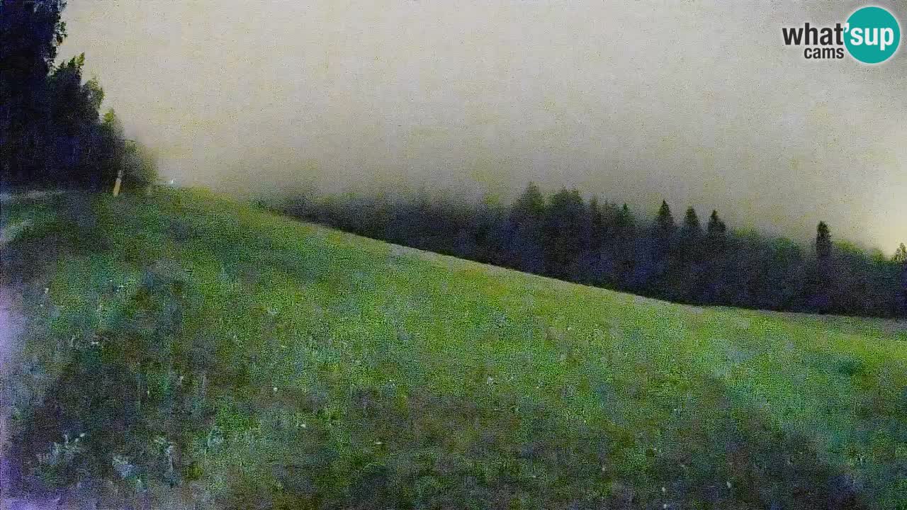 Comprensorio sciistico Kranjska Gora | Brsnina