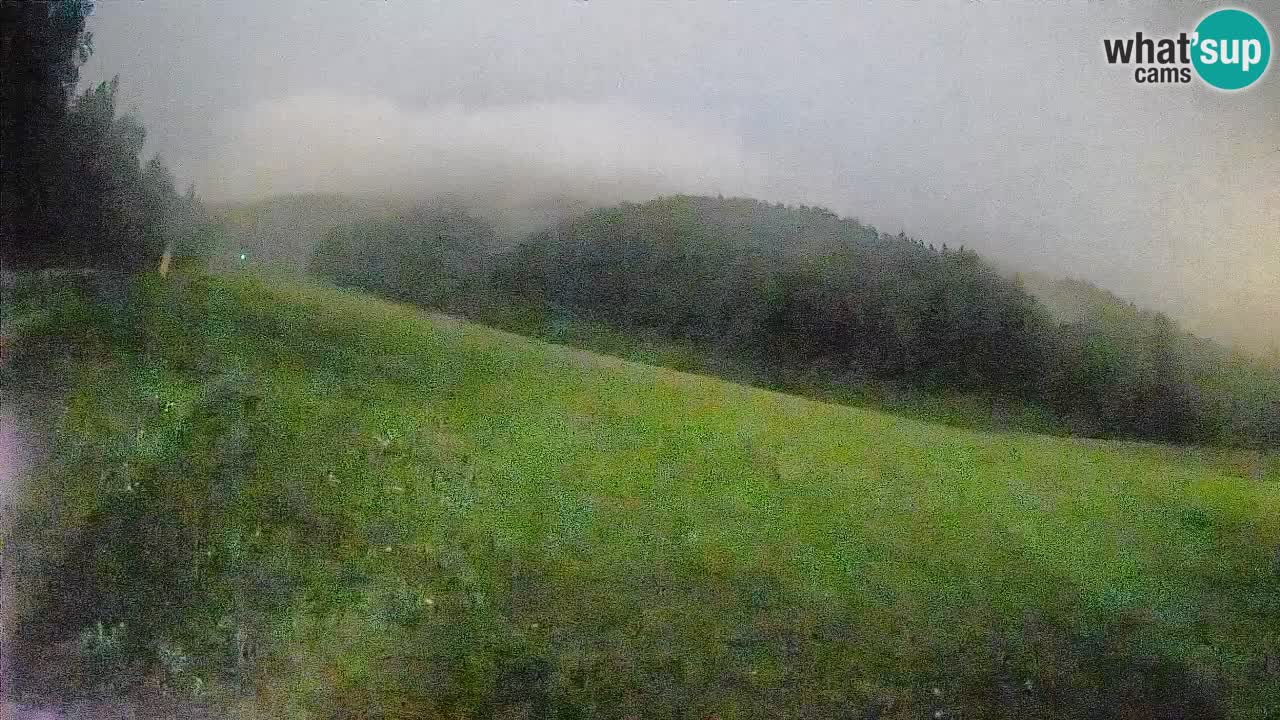 Kranjska Gora Station de ski | Brsnina