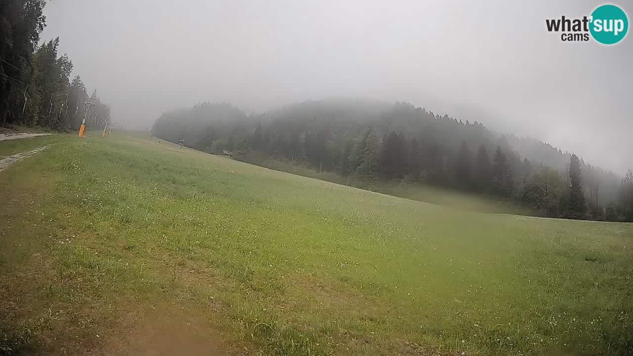 RTC Skigebiet Kranjska Gora | Brsnina