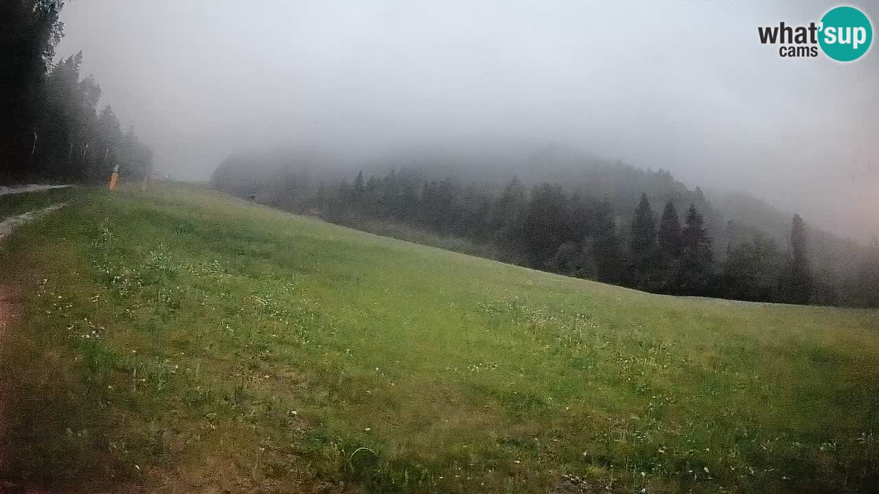 RTC Skigebiet Kranjska Gora | Brsnina