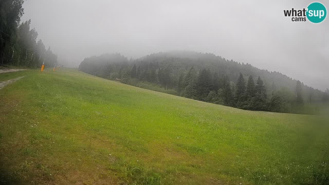 RTC Skigebiet Kranjska Gora | Brsnina
