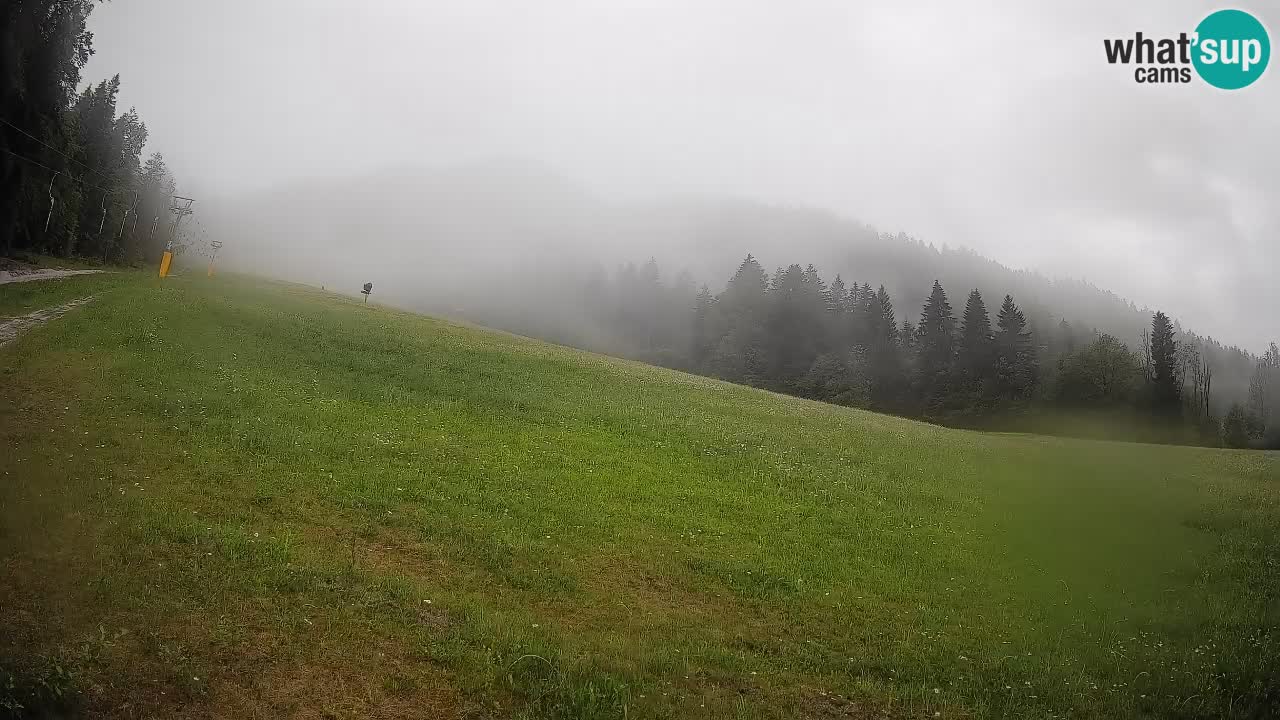Kranjska Gora Station de ski | Brsnina