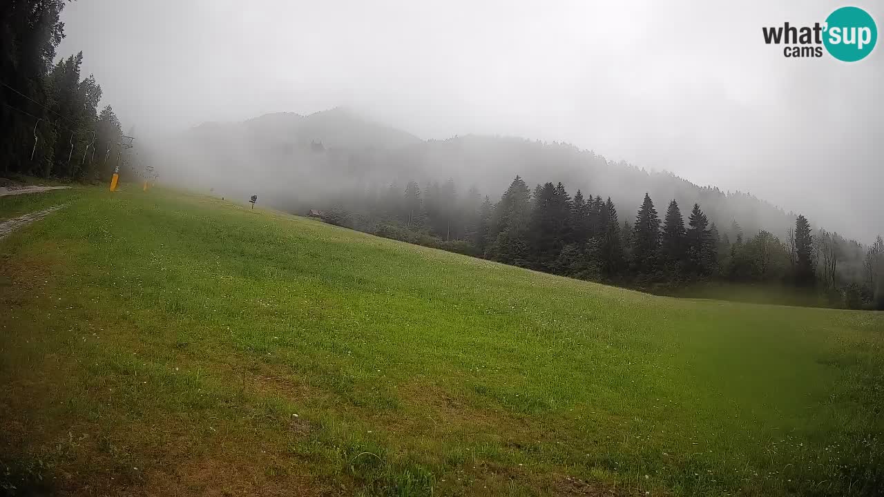 RTC Kranjska Gora | Brsnina