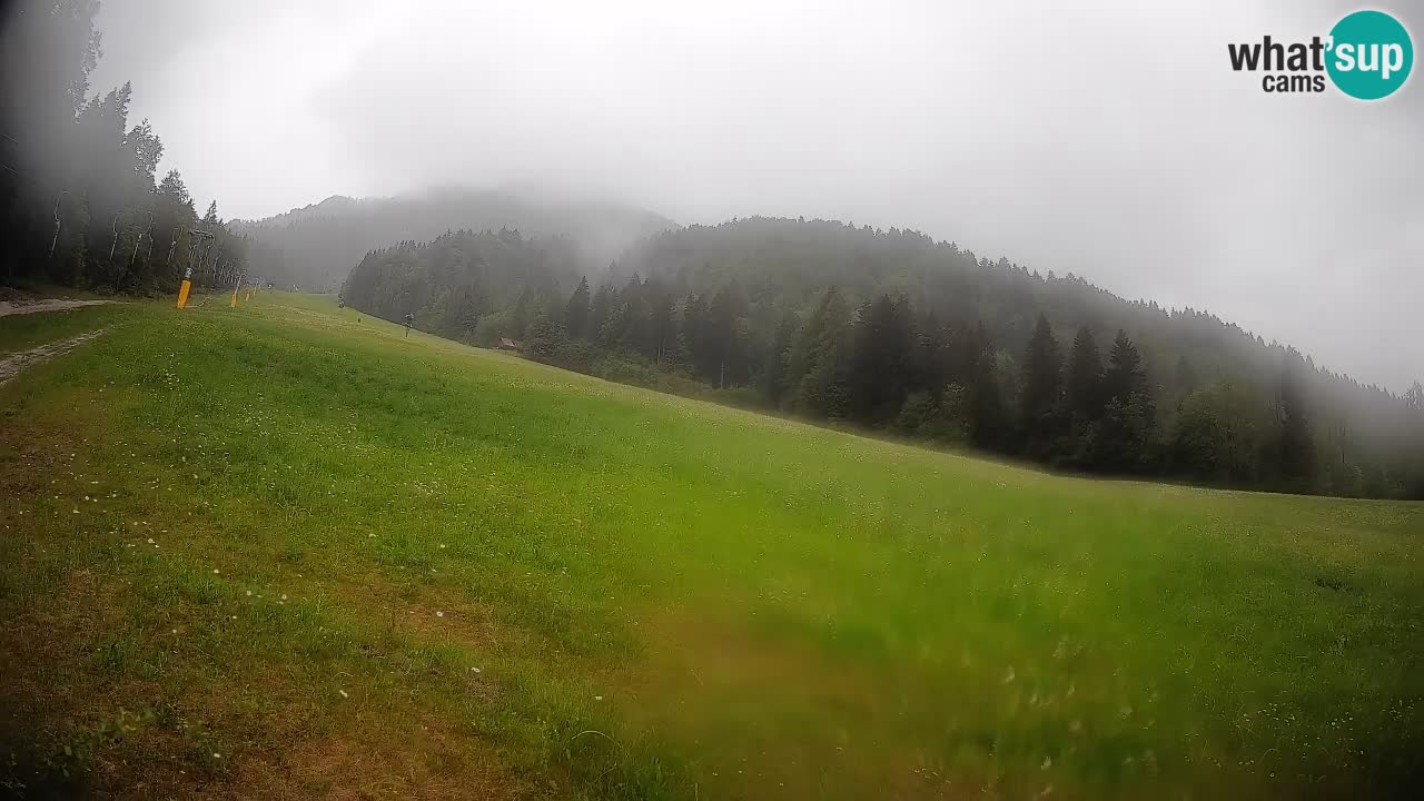 Kranjska Gora Station de ski | Brsnina