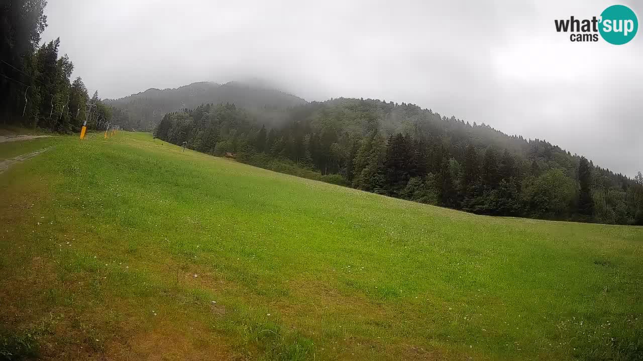 RTC Kranjska Gora | Brsnina