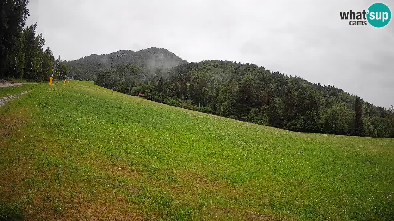 Ski Kranjska Gora | Brsnina