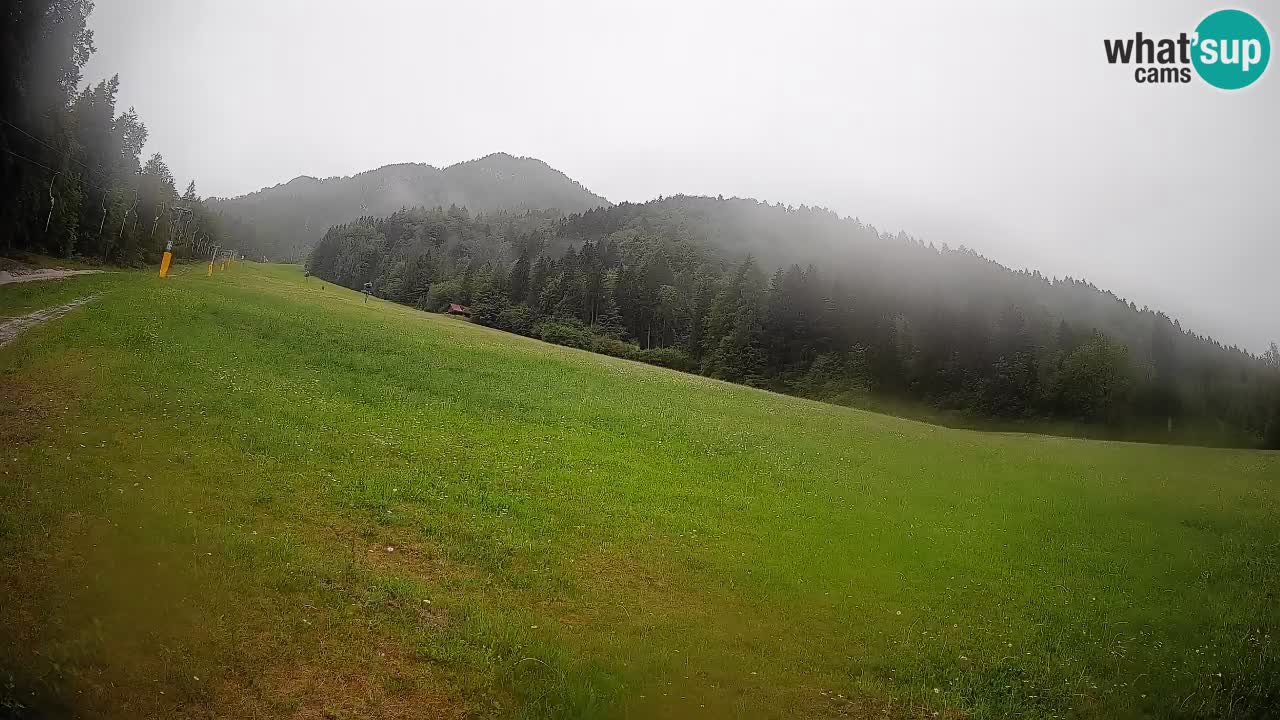 Ski Kranjska Gora | Brsnina