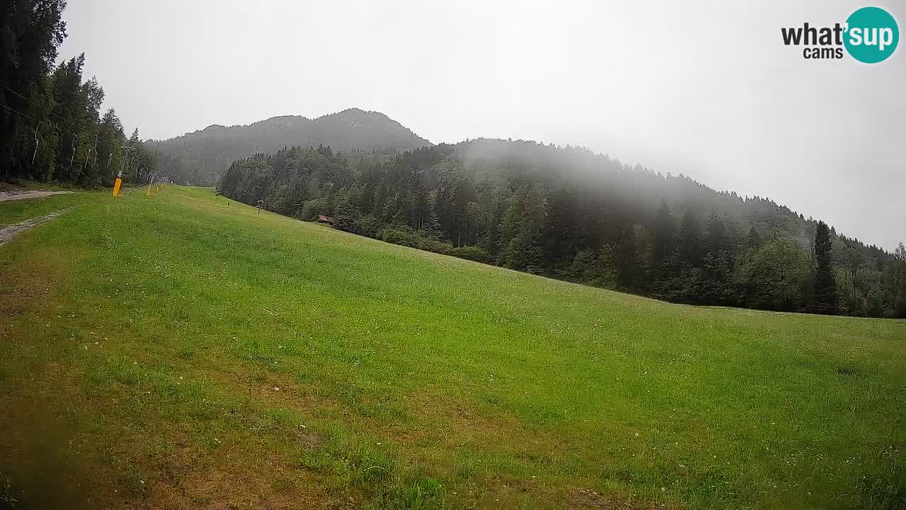 RTC Kranjska Gora | Brsnina