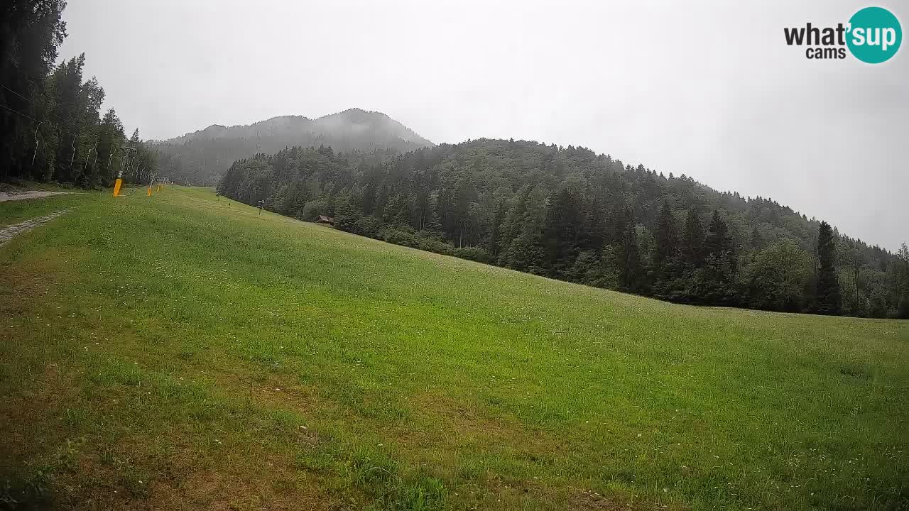Kranjska Gora Station de ski | Brsnina