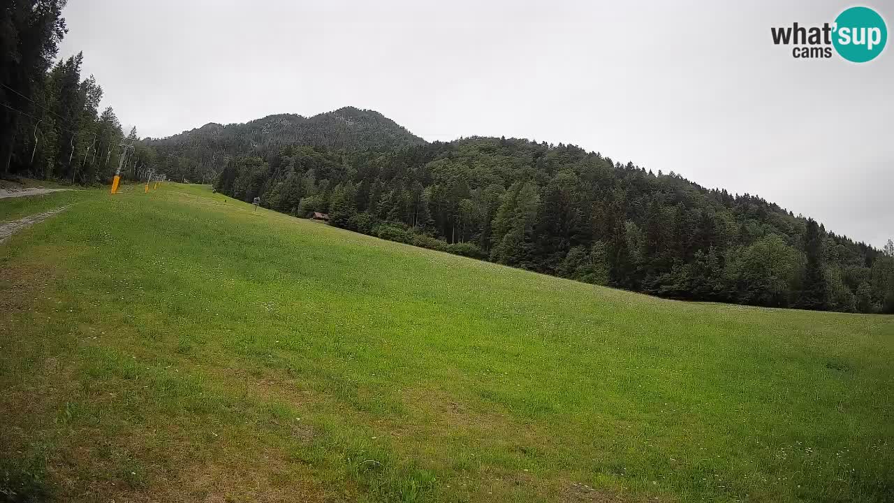 Comprensorio sciistico Kranjska Gora | Brsnina