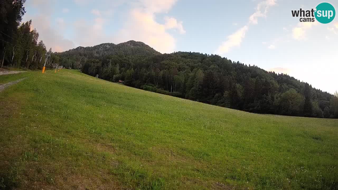 Ski Kranjska Gora | Brsnina