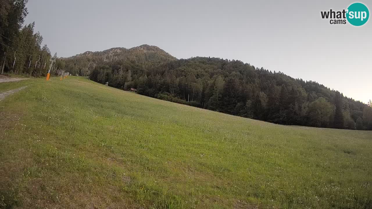 RTC Skigebiet Kranjska Gora | Brsnina