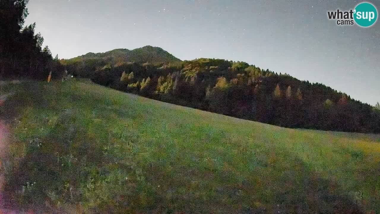 Ski Kranjska Gora | Brsnina