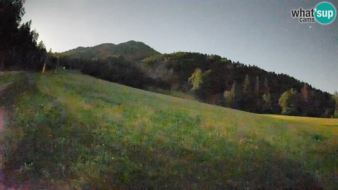RTC Skigebiet Kranjska Gora | Brsnina