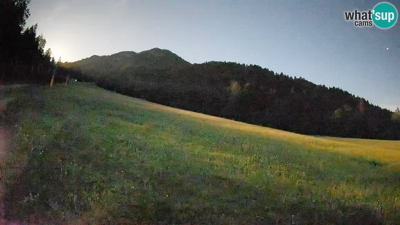 Ski Kranjska Gora | Brsnina