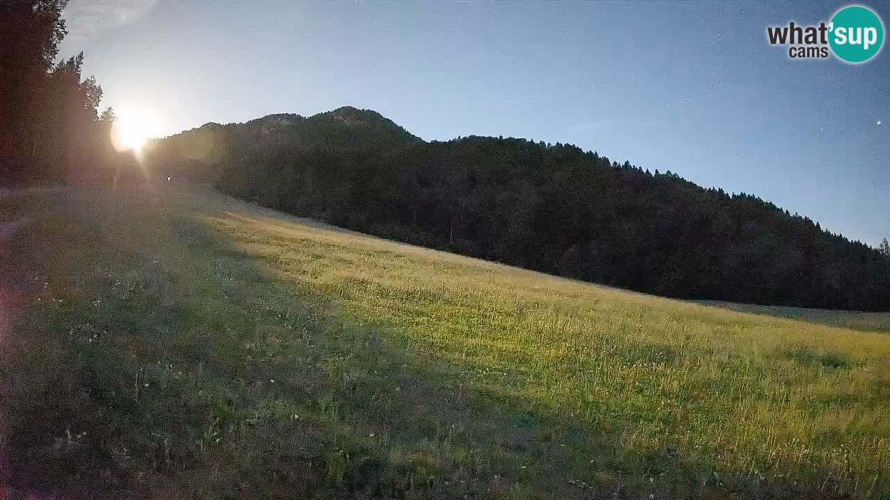 Ski Kranjska Gora | Brsnina