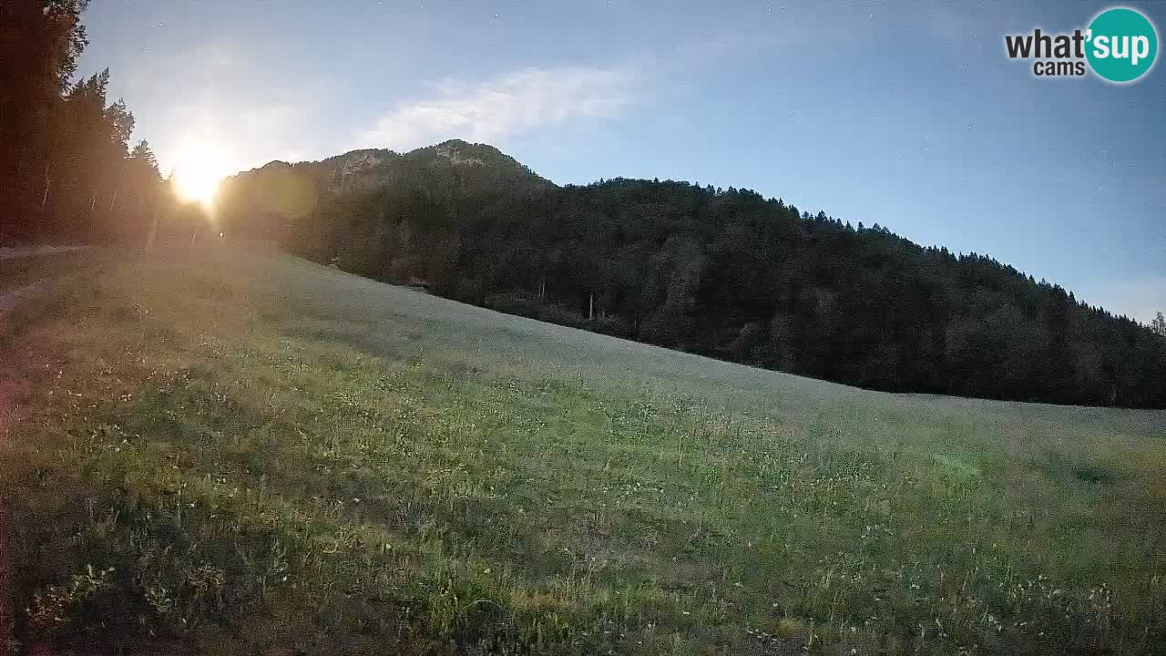 RTC Kranjska Gora | Brsnina
