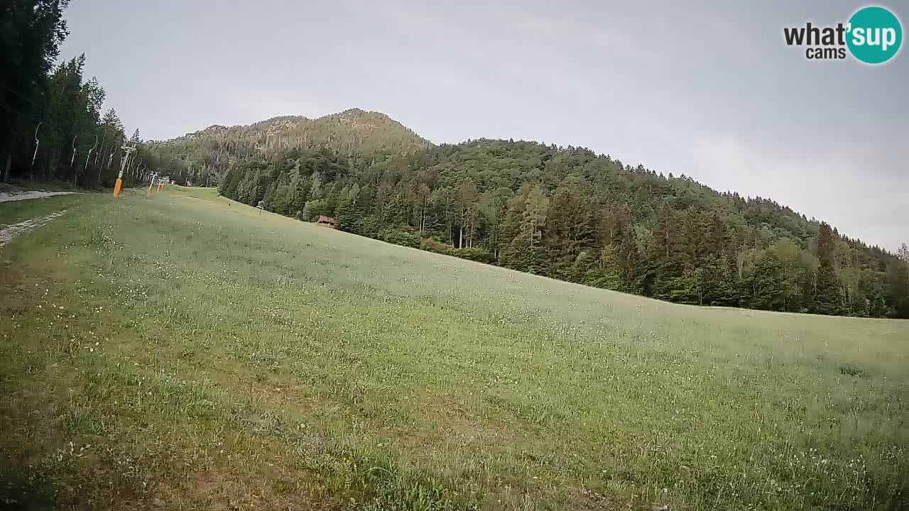 RTC Kranjska Gora | Brsnina