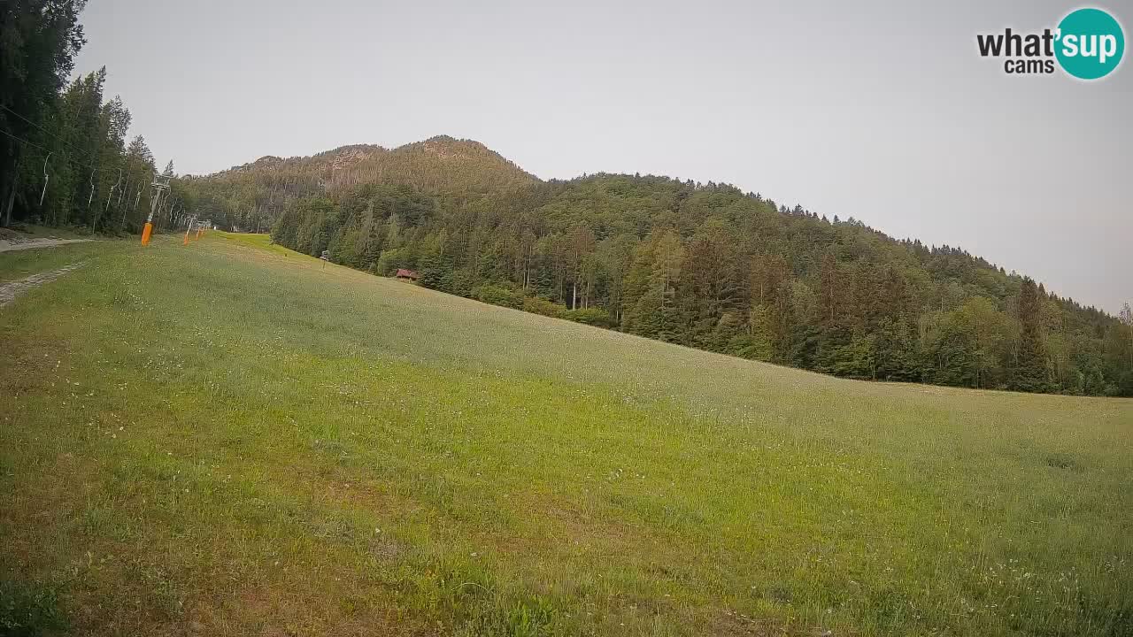 Esquí Kranjska Gora | Brsnina